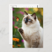 Niedliche Weiße Katze Schmetterling Blaue Augen Po Postkarte (Vorne/Hinten)