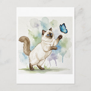 Niedliche Weiße Katze Schmetterling Blaue Augen Po Postkarte