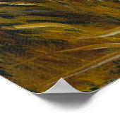 Niedliche weiße Katze Schöne grüne Augen Rote Nase Poster (Ecke)