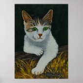 Niedliche weiße Katze Schöne grüne Augen Rote Nase Poster (Vorne)