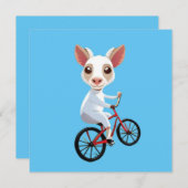 Niedliche, weiße Ziege auf dem Fahrrad (Vorne/Hinten)