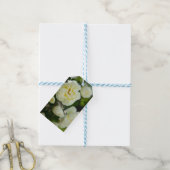 Niedliche Weißrosen für positive Geschenkanhänger (Mit Garn)