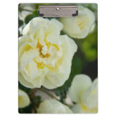 Niedliche Weißrosen für positive Klemmbrett (Vorderseite)