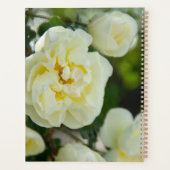 Niedliche Weißrosen für positive Planer (Rückseite)