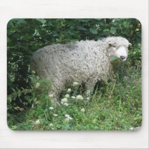 Niedliche Weißschaf-Mousepad Mousepad