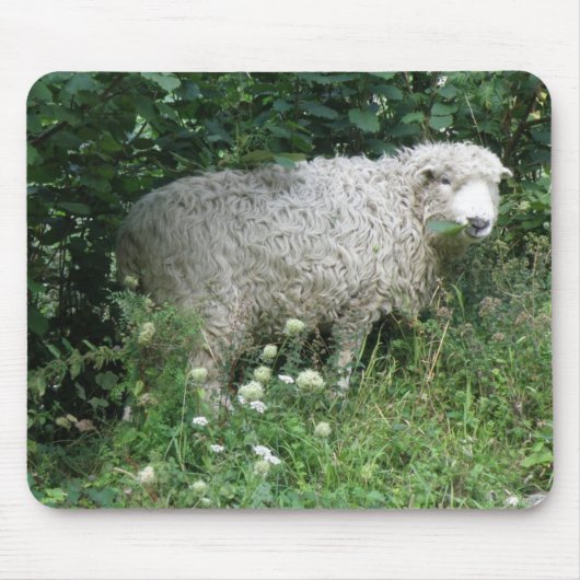 Niedliche Weißschaf-Mousepad Mousepad (Vorne)