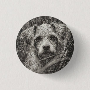Niedliche Welpe Black and Whie Portrait Fotografie Button
