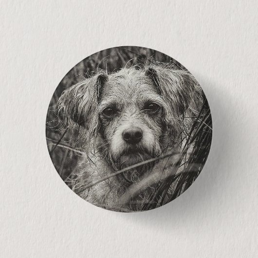 Niedliche Welpe Black and Whie Portrait Fotografie Button (Vorderseite)