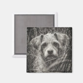 Niedliche Welpe Black and Whie Portrait Fotografie Magnet (Vorderseite/Rückseite)