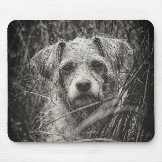 Niedliche Welpe Black and Whie Portrait Fotografie Mousepad (Vorne)