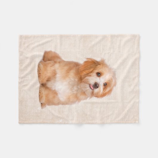 Niedliche Welpe Havanese Welpen-Fleece-Decke Fleecedecke (Vorderseite (Horizontal))