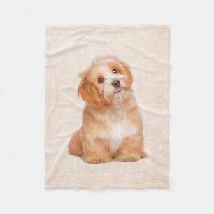 Niedliche Welpe Havanese Welpen-Fleece-Decke Fleecedecke
