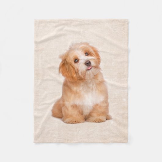 Niedliche Welpe Havanese Welpen-Fleece-Decke Fleecedecke (Vorderseite)