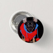 Niedliche Welpe in Red Wool Sweater Button (Vorne & Hinten)