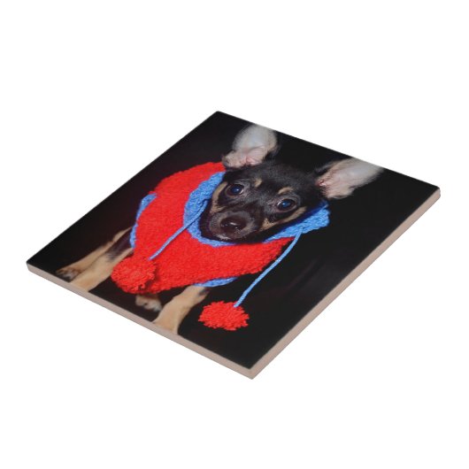 Niedliche Welpe in Red Wool Sweater Fliese (Seite)