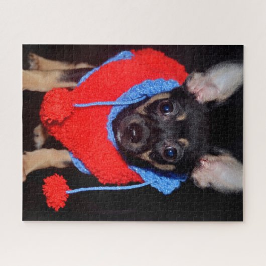 Niedliche Welpe in Red Wool Sweater Puzzle (Horizontal)