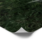 Niedliche Welpe mit Bändern Poster (Ecke)