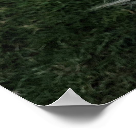 Niedliche Welpe mit Bändern Poster (Ecke)