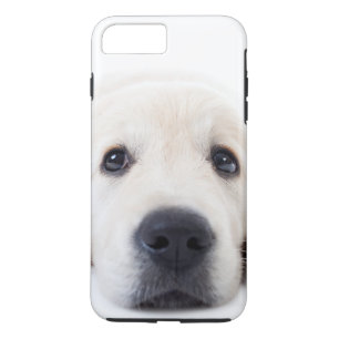 niedliche Welpe mit Goldener Retriege Case-Mate iPhone Hülle