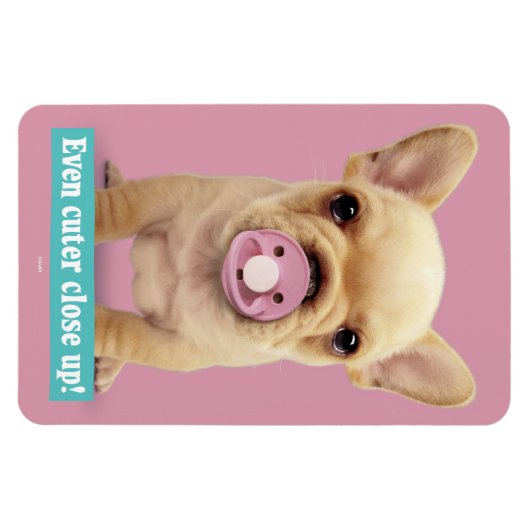 Niedliche Welpe mit Schnuller Magnet (Horizontal)