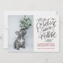 Niedliche Welpe niffing Mistletoe Weihnachten