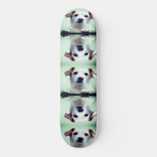 Niedliche Welpe Skateboard