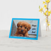 Niedliche Welpe wird gut Karte (Gelbe Blume)