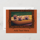 Niedliche Welpen Grüße Postkarte (Vorne/Hinten)