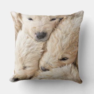 Niedliche Welpen Happy Valentine's Day Throw Kisse Kissen