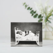 Niedliche Welpen im Bett Postkarte (Stehend Vorderseite)