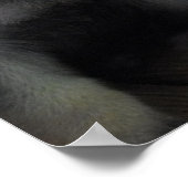 Niedliche Welpen Poster (Ecke)