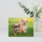 Niedliche Welpen Postkarte (Stehend Vorderseite)