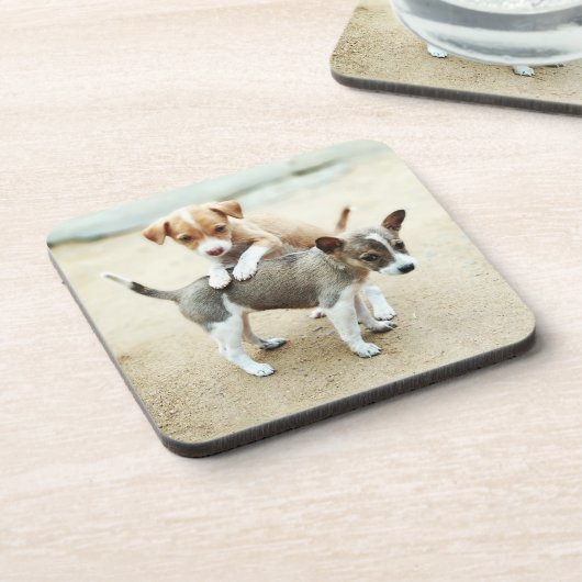 Niedliche Welpen spielen am Strand Getränkeuntersetzer (Linke Seite)