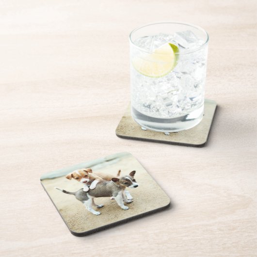 Niedliche Welpen spielen am Strand Getränkeuntersetzer (Rechte Seite)