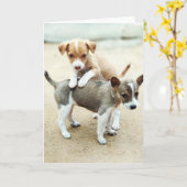 Niedliche Welpen spielen am Strand Karte (Gelbe Blume)