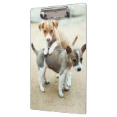 Niedliche Welpen spielen am Strand Klemmbrett (Links)