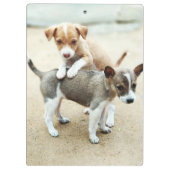 Niedliche Welpen spielen am Strand Klemmbrett (Rückseite)