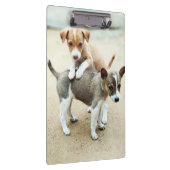 Niedliche Welpen spielen am Strand Klemmbrett (Rechts)