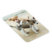 Niedliche Welpen spielen am Strand Magnet (Rechte Seite)