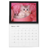 Niedliche Welpen und Kätzchen 2018 Kalender (Feb 2027)