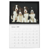 Niedliche Welpen und Kätzchen 2018 Kalender (Jan 2027)