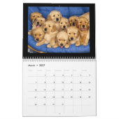 Niedliche Welpen und Kätzchen 2018 Kalender (Mär 2027)