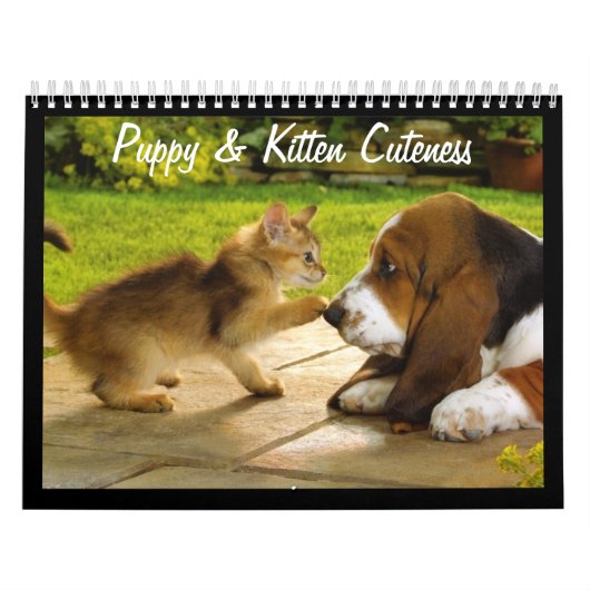 Niedliche Welpen und Kätzchen 2018 Kalender (Titelbild)