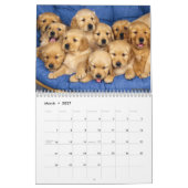 Niedliche Welpen und Kätzchen Kalender (Mär 2027)