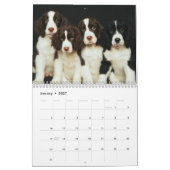 Niedliche Welpen und Kätzchen Kalender (Jan 2027)