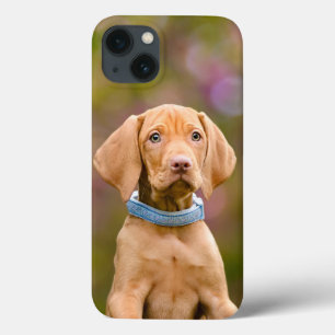 Niedliche Welpen ungarisch Vizsla Dog Welpe Foto / Case-Mate iPhone Hülle