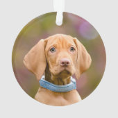 Niedliche Welpen ungarisch Vizsla Dog Welpe Foto - Ornament (Rückseite)