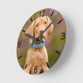 Niedliche Welpen ungarisch Vizsla Dog Welpe Foto - Runde Wanduhr (Winkel)