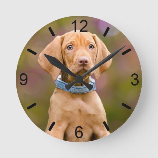 Niedliche Welpen ungarisch Vizsla Dog Welpe Foto - Runde Wanduhr (Vorderseite)