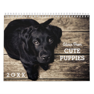 Niedliche Welpenhunde Funny Inspiration 20XX Kalender